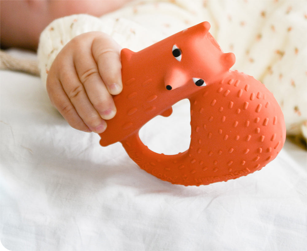 Cyril the Squirrel Fox Chewable Toy by Donna Wilson X Oli & Carol