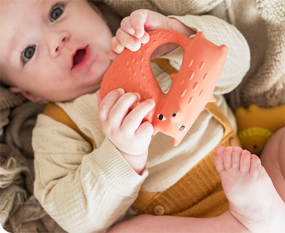 Cyril the Squirrel Fox Chewable Toy by Donna Wilson X Oli & Carol