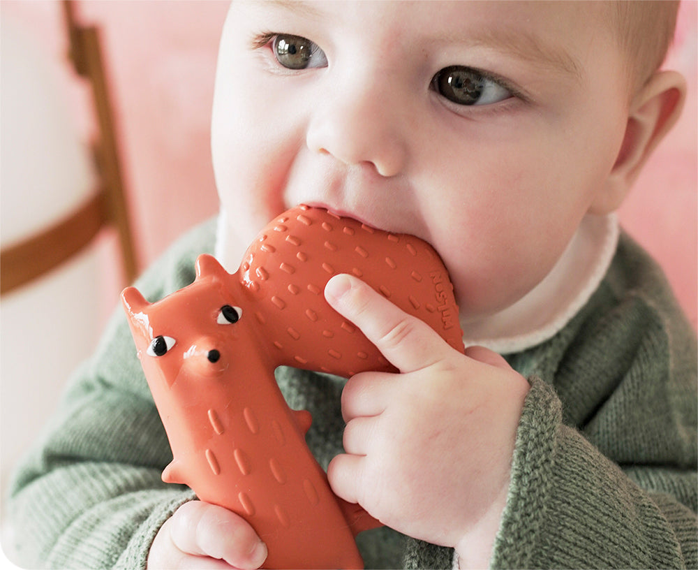 Cyril the Squirrel Fox Chewable Toy by Donna Wilson X Oli & Carol