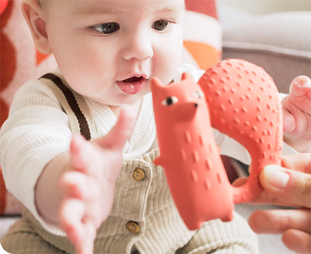 Cyril the Squirrel Fox Chewable Toy by Donna Wilson X Oli & Carol