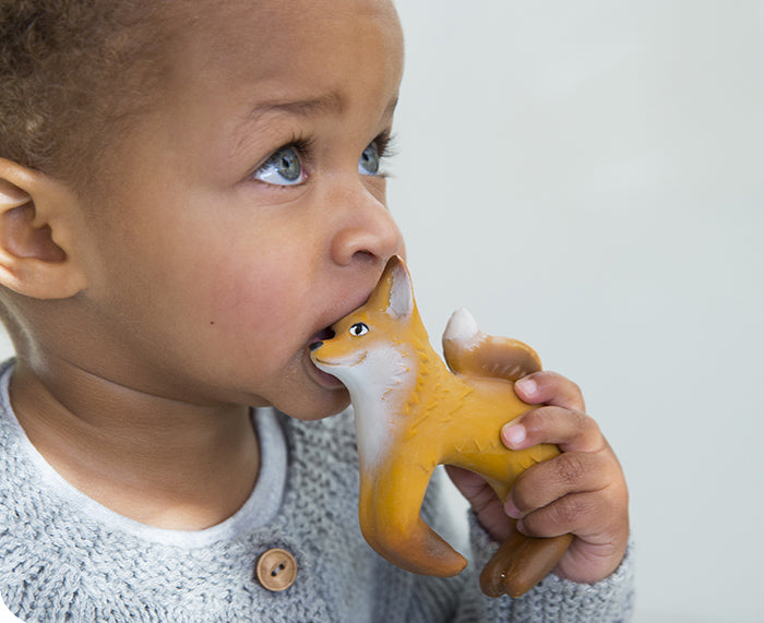 Rob the Fox Chewable Bracelet by Oli & Carol