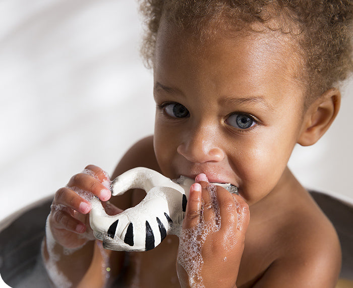 Zoe the Zebra Chewable Bracelet by Oli & Carol
