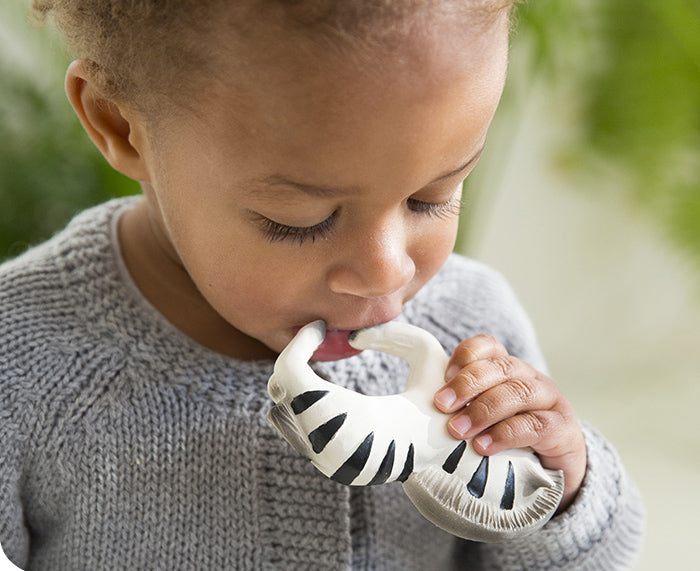 Zoe the Zebra Chewable Bracelet by Oli & Carol